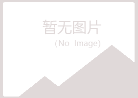 故城县初夏会计有限公司